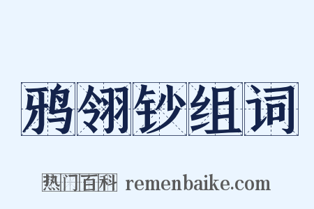 鸦翎钞组词是什么意思的图片